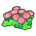Skyland flowers