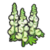 Robust flowers