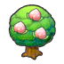 Pecha tree