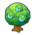 Rawst tree