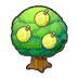 Aspear tree