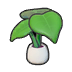 Leafy plant
