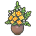 Extravagant flowers
