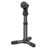 Standing mic