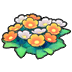 Wildflowers