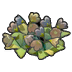 Dry wildflowers
