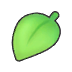 Leaf