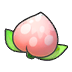 Pecha Berry