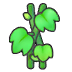 Vines
