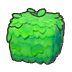 Square plant