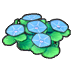 Seashore flowers