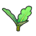 Fresh carrot stem