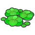 Duckweed