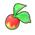 Leppa Berry