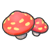 Cave mushrooms