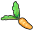 Fresh carrot